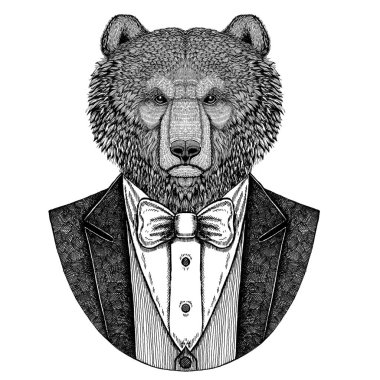 Boz ayı Rus bearhipster hayvan el dövme, amblem, rozet, logo, yama, t-shirt için resmi çizilmiş