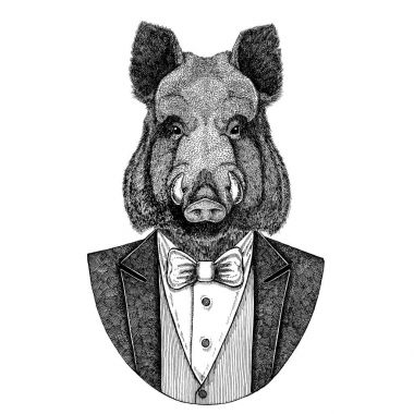 Aper, yaban domuzu, domuz, yaban domuzu, domuz, Hipster hayvan el çizilmiş resim dövme, amblem, rozet, logo, yama, t-shirt için