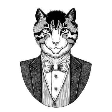 Yerli kedi Hipster hayvan el görüntü illüstrasyon dövme, amblem, rozet, logo, yama, t-shirt için çizilmiş