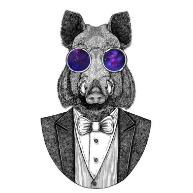 Aper, yaban domuzu, domuz, yaban domuzu, domuz, Hipster hayvan el çizilmiş resim dövme, amblem, rozet, logo, yama, t-shirt için