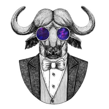 Buffalo, bison, ox, Hipster hayvan el çizilmiş resim dövme, amblem, rozet, logo, yama, t-shirt için boğa