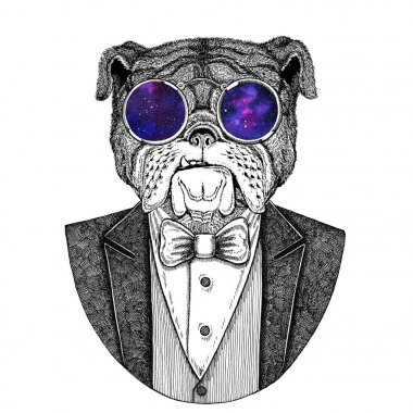 Bulldog köpek Hipster hayvan el çizimi dövme, amblem, rozet, logo, yama, t-shirt için çizilmiş