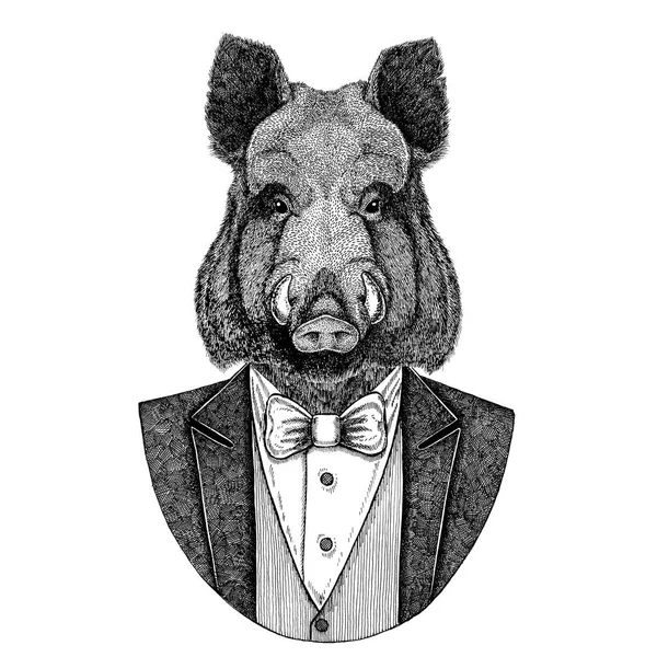 Aper, yaban domuzu, domuz, yaban domuzu, domuz, Hipster hayvan el çizilmiş resim dövme, amblem, rozet, logo, yama, t-shirt için — Stok fotoğraf