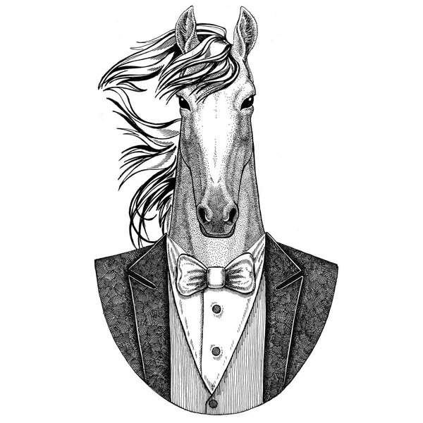 Koně, kámo, knight, oř, courser Hipster zvířat ručně kreslené ilustrace pro tetování, znak, odznak, loga, oprava, tričko — Stock fotografie