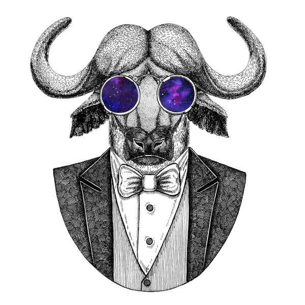 Μπάφαλο, bison, βόδι, bull Hipster ζώων χέρι συρμένο εικόνα για τατουάζ, έμβλημα, σήμα, λογότυπο, patch, t-shirt — Φωτογραφία Αρχείου