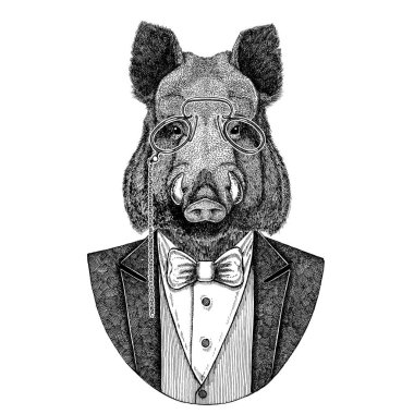Aper, yaban domuzu, domuz, yaban domuzu, domuz, Hipster hayvan el çizilmiş resim dövme, amblem, rozet, logo, yama, t-shirt için