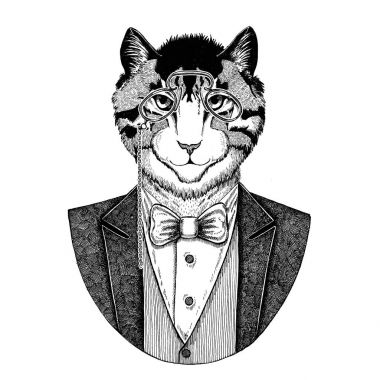 Yerli kedi Hipster hayvan el görüntü illüstrasyon dövme, amblem, rozet, logo, yama, t-shirt için çizilmiş