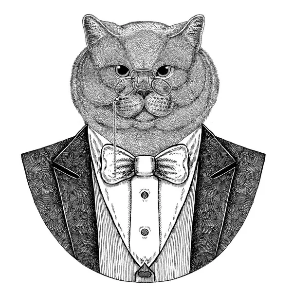 Registreerden nobele kat Hipster dier Hand getrokken afbeelding voor tattoo, badge, embleem, logo, patch, t-shirt — Stockfoto