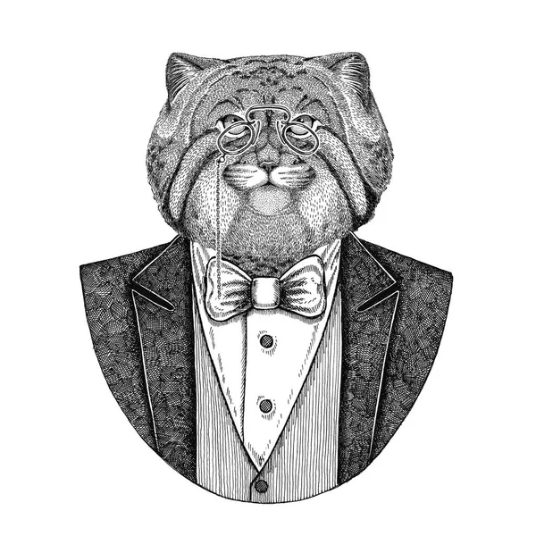 Wilde kat Manul Hipster dier Hand getrokken illustratie voor tattoo, badge, embleem, logo, patch, t-shirt — Stockfoto