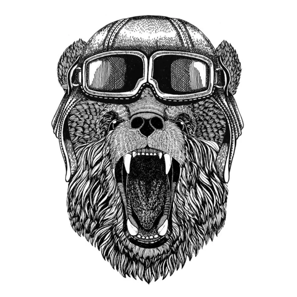 Orso bruno Orso russo con casco in pelle Aviator, motociclista, moto Illustrazione disegnata a mano per tatuaggio, emblema, distintivo, logo, patch — Foto Stock