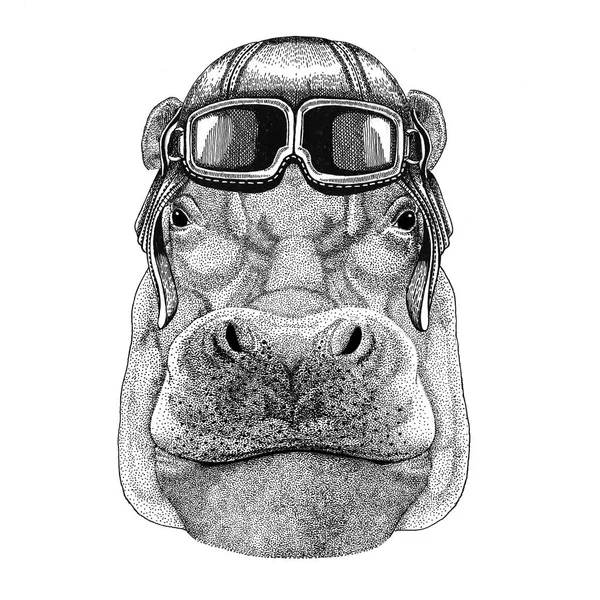 Hippo, Hippopotamus, behemoth, river-horse wearing leather helmet Aviator, biker, motorcycle Hand drawn illustration for tattoo, emblem, badge, logo, patch