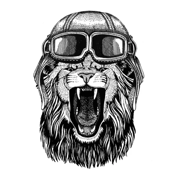 Leão usando capacete de couro Aviador, motociclista, motocicleta ilustração desenhada à mão para tatuagem, emblema, crachá, logotipo, patch — Fotografia de Stock