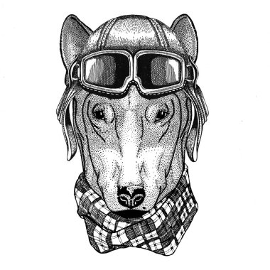 Yama köpek için t-shirt tasarım giyen deri kask Aviator, motorcu, dövme, logo, amblem, rozeti ne motosiklet el çekilmiş örnek