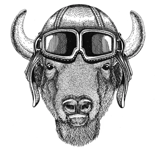 Buffalo, bisonte, bue, toro Aviator, motociclista, moto Illustrazione disegnata a mano per tatuaggio, emblema, distintivo, logo, patch — Foto Stock