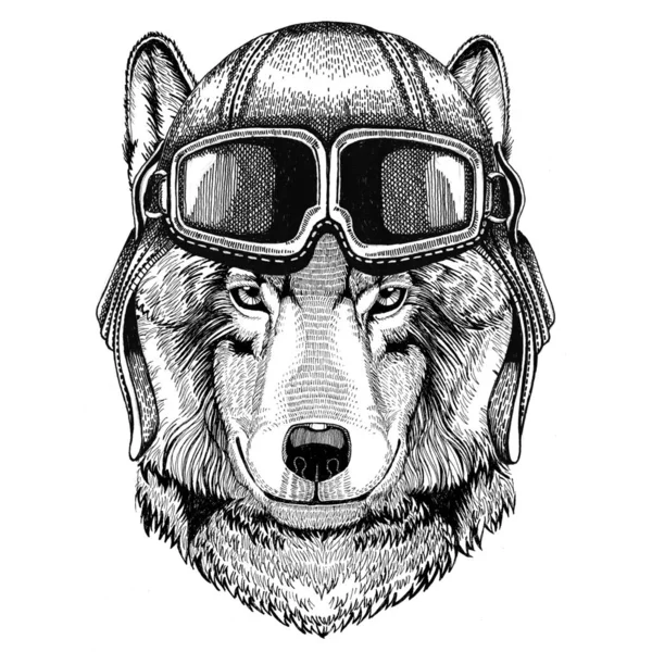 Wolf Dog Aviator, biker, motorcycle Hand drawn illustration for tattoo, emblem, badge, logo, patch — Stock Photo, Image