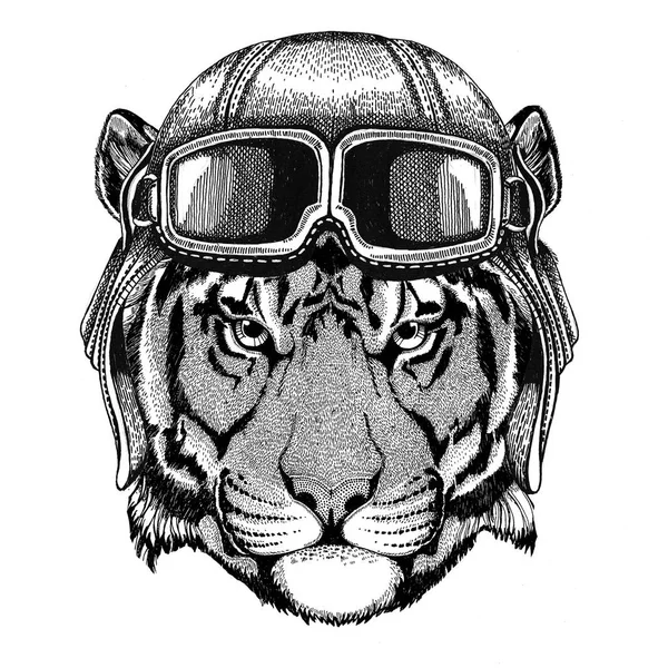 Aviador de tigre salvaje, motociclista, motocicleta Ilustración dibujada a mano para tatuaje, emblema, insignia, logotipo, parche —  Fotos de Stock