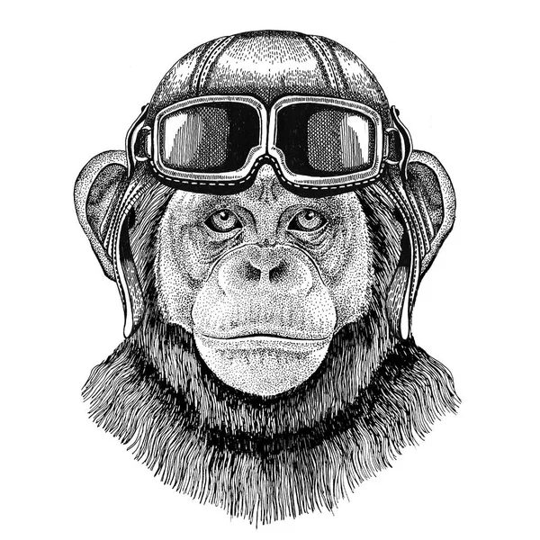 Aviador de macaco de chimpanzé, motociclista, motocicleta ilustração desenhada à mão para tatuagem, emblema, crachá, logotipo, patch — Fotografia de Stock