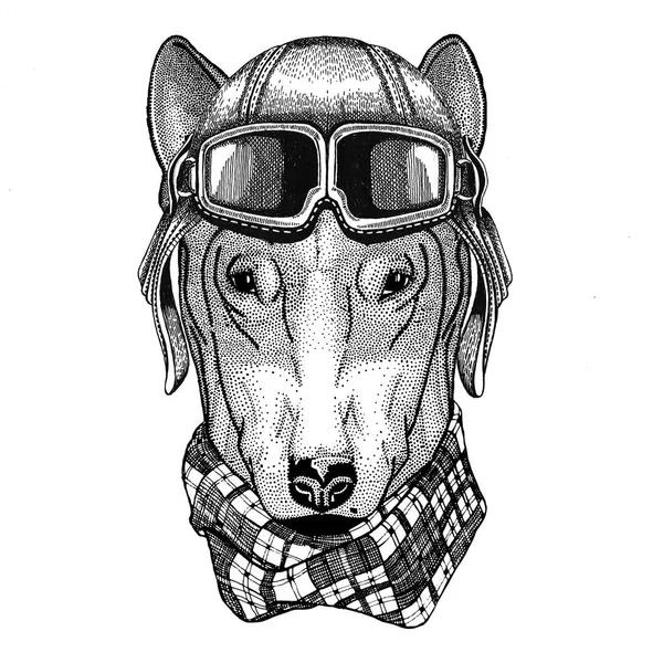 Hund för t-shirt design bär läder hjälm flygare, MC, motorcykel handritad illustration för tatuering, emblem, badge, logo patch — Stockfoto