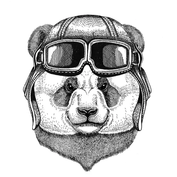 Panda bear, bamboo bear wearing leather helmet Aviator, biker, motorcycle Hand drawn illustration for tattoo, emblem, badge, logo, patch — Stock Photo, Image