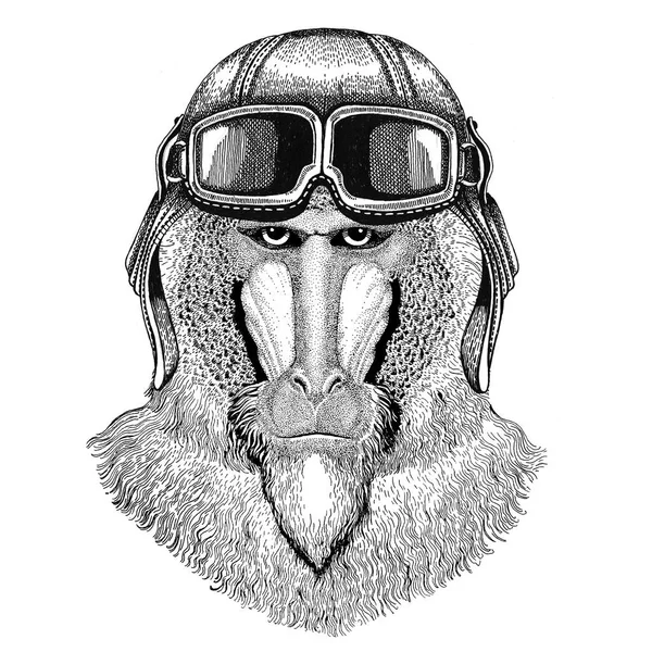 Singe, babouin, singe, singe portant un casque en cuir Aviateur, motard, moto Illustration dessinée à la main pour tatouage, emblème, insigne, logo, patch — Photo