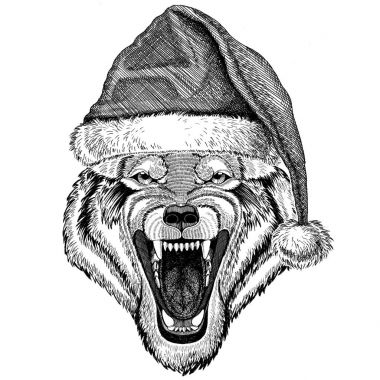 Kurt köpek vahşi hayvan Noel şapka yeni yıl arifesi neşeli Noel ve mutlu yeni yıl Hayvanat Bahçesi hayat giyen kutlama el çekilmiş resmi tatil