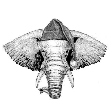 Afrika ya da Hindistan fil Noel şapka yeni yıl arifesi neşeli Noel ve mutlu yeni yıl Hayvanat Bahçesi hayat giyen kutlama el çekilmiş resmi tatil
