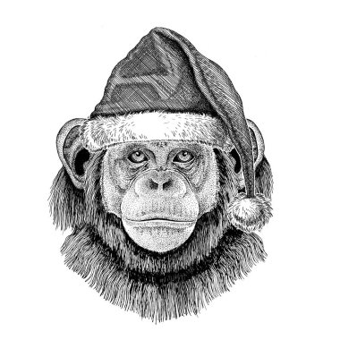 Noel şapka yeni yıl arifesi neşeli Noel ve mutlu yeni yıl Hayvanat Bahçesi yaşam tatil kutlama el çizilmiş resim giyen şempanze maymun