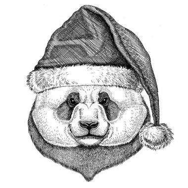 Ayı Panda, bambu ayı Noel şapka yeni yıl arifesi neşeli Noel ve mutlu yeni yıl Hayvanat Bahçesi yaşam tatil kutlama Santa Claus şapka