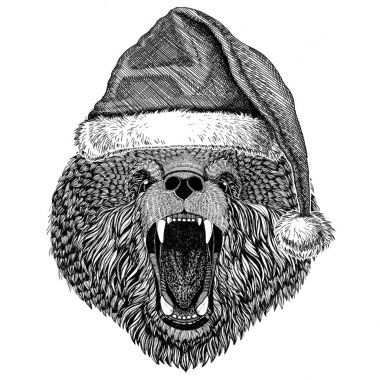 Boz ayı Rus ayısına Noel şapka yeni yıl arifesi neşeli Noel ve mutlu yeni yıl Hayvanat Bahçesi yaşam tatil kutlama Santa Claus şapka giyiyor