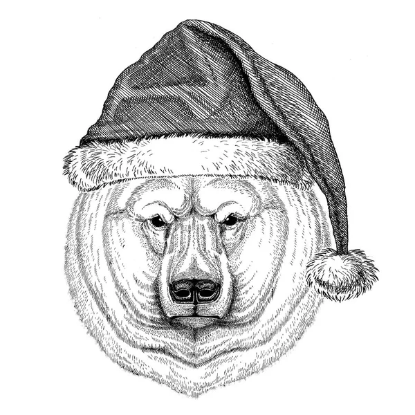 크리스마스 모자 새 해 이브 메리 크리스마스와 새 해 복 많이 받으세요 동물원 생활 입고 북극곰 휴일 축 하 손으로 그린된 이미지 — 스톡 사진