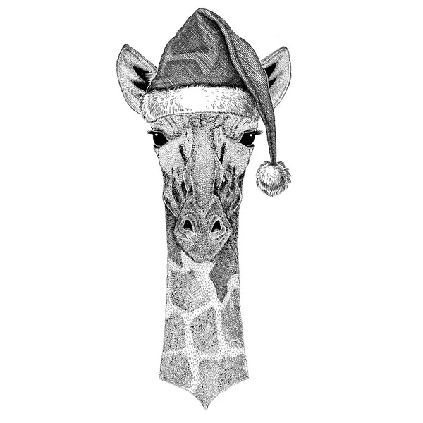 Camelopard、キリン着てクリスマス帽子新年イブ メリー クリスマスと新年あけましておめでとうございます動物園生活休日お祝い手描画イメージ — ストック写真