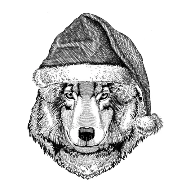 Wolf Dog wearing christmas hat New year eve Merry christmas and happy new year Zoo life Holidays celebration Hand drawn image — Stock Photo, Image