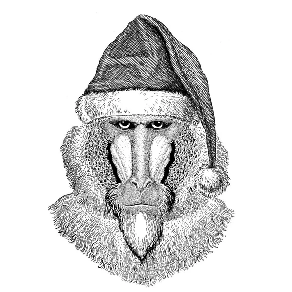 Mono, mandril, perro-mono, sombrero de Navidad de mono Nochevieja Feliz Navidad y feliz año nuevo Zoológico de la vida Celebración de las fiestas Sombrero de Papá Noel —  Fotos de Stock