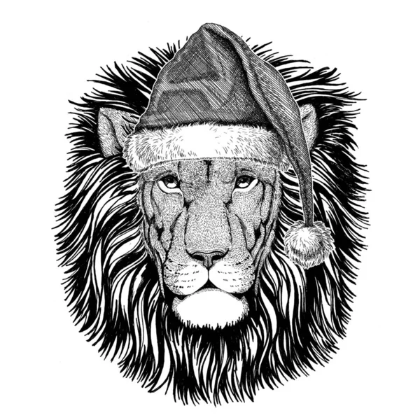 Vadon élő oroszlán visel kalapot új év karácsony karácsonyi ünnepeket és boldog új évet állatkert élet ünnepek ünnepe Santa Claus kalap — Stock Fotó