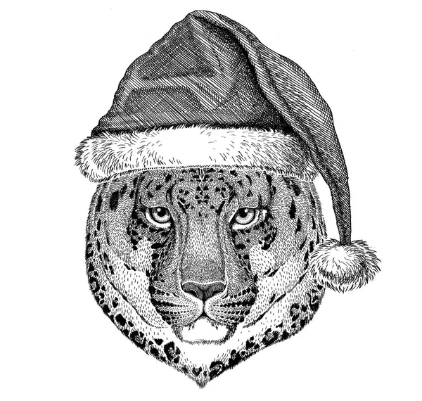 Gato salvaje Leopardo Gato-o-montaña Pantera con sombrero de navidad Nochevieja Feliz Navidad y feliz año nuevo Vida del zoológico Celebración de vacaciones Sombrero de Papá Noel — Foto de Stock