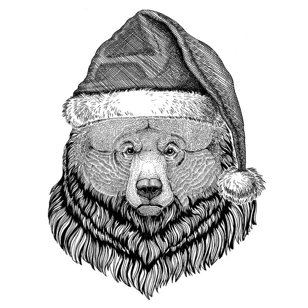 Grizzly bear Big wild bear wearing christmas hat New year eve Merry christmas and happy new year Zoo life Holidays celebration Santa Claus hat — Stock Photo, Image