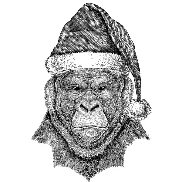 Gorilla, mono, mono Animales espantosos con sombrero de navidad Nochevieja Feliz Navidad y feliz año nuevo Vida del zoológico Celebración de las fiestas Sombrero de Papá Noel — Foto de Stock