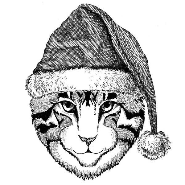 Foto van binnenlandse kat dragen van hoed Nieuwjaar kerstavond vrolijk kerstfeest en gelukkig Nieuwjaar dierentuin leven vakantie feest Kerstman hoed — Stockfoto