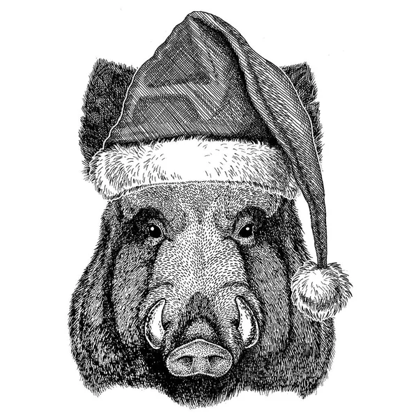 Aper, boar, hog, hog, wild boar wearing christmas hat New year eve Merry christmas and happy new year Zoo life Holidays celebration Santa Claus hat — Stock Photo, Image
