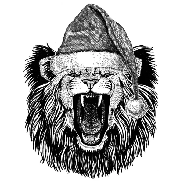 Λιοντάρι φορώντας χριστουγεννιάτικο καπέλο Πρωτοχρονιάς καλά Χριστούγεννα και Ευτυχισμένο το νέο έτος ζωής ζωολογικό κήπο διακοπές εορτασμού Αϊ Βασίλη καπέλο — Φωτογραφία Αρχείου