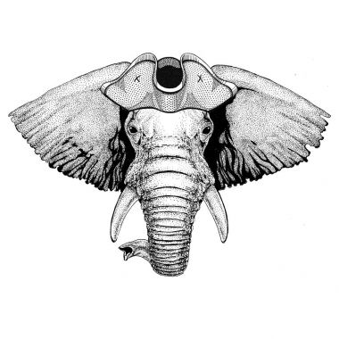 Afrika ya da Hindistan fil korsan şapkasını giyiyor şapka, tricorn denizci, denizci, mariner veya gemici eğdi