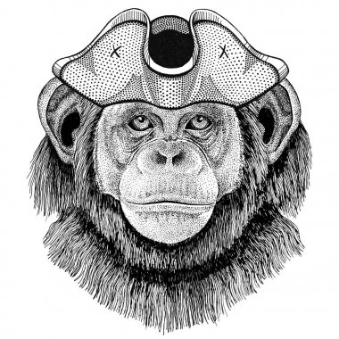 Korsan şapkası Cocked hat, tricorn denizci, denizci, mariner veya gemici giyen şempanze maymun