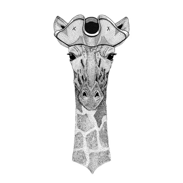 Camélope, girafe chapeau pirate Chapeau cogné, tricorne Marin, marin, marin ou marin — Photo
