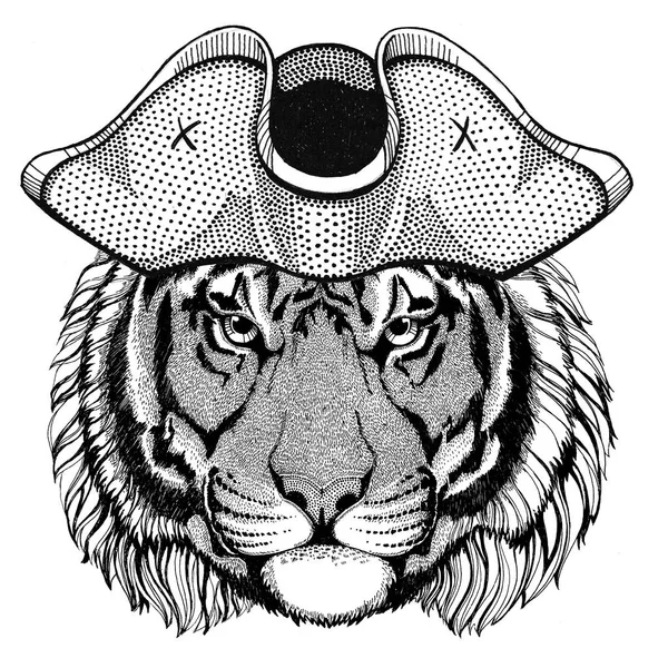 Vad tigris, visel kalóz kalap Cocked hat, tricorn matróz, tengerész, mariner, vagy tengerész — Stock Fotó