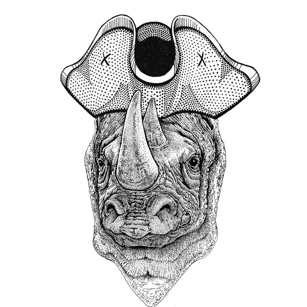 코뿔소, 코뿔소 입고 해 적 모자 삼각 모자, tricorn 선원, 선원, 선원, 또는 뱃 — 스톡 사진
