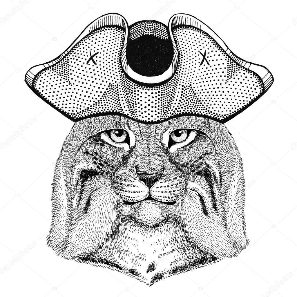 Wild cat Lynx Bobcat Trot wearing pirate hat Cocked hat, tricorn Sailor, seaman, mariner, or seafarer