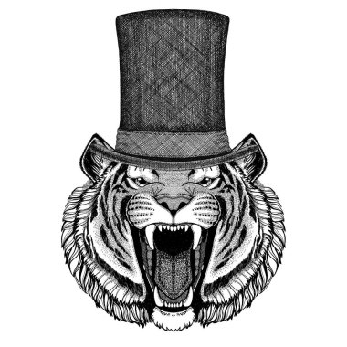 Vahşi Kaplan silindir üst şapka