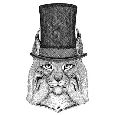 Vahşi kedi Lynx Bobcat tırıs giyen silindir üst şapka