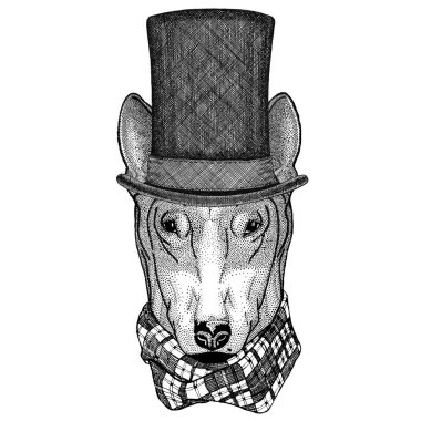 Köpek için t-shirt tasarım silindir üst şapka