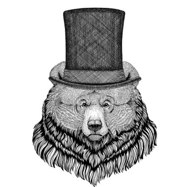 Kuzey Amerika boz ayısı büyük vahşi ayı silindir üst şapka